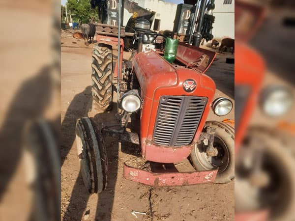 Tafe (Massey)Massey Ferguson 1035 DI