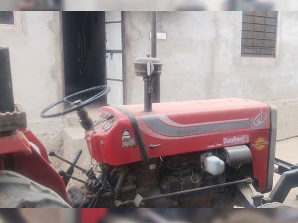 Tafe (Massey) Massey Ferguson 245 DI