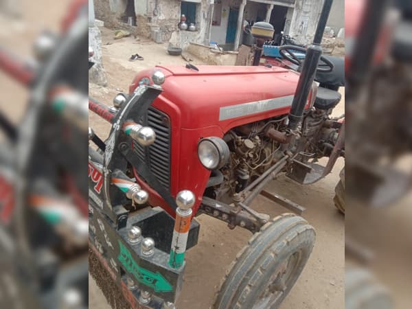 Tafe (Massey)Massey Ferguson 1035 DI