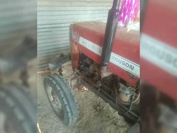 Tafe (Massey)Massey Ferguson 241 DI PLANETARY PLUS