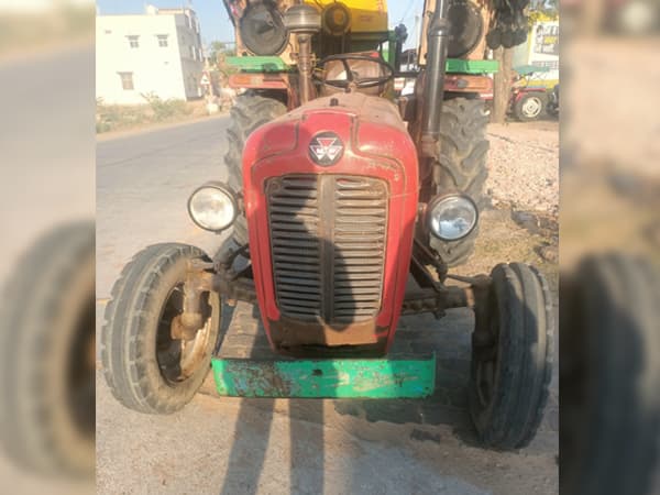 Tafe (Massey) Massey Ferguson 1035 DI