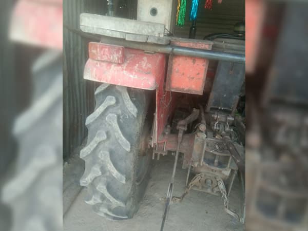 Tafe (Massey) Massey Ferguson 241 DI PLANETARY PLUS